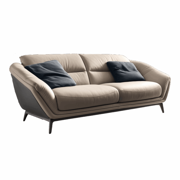 Sofa for living room